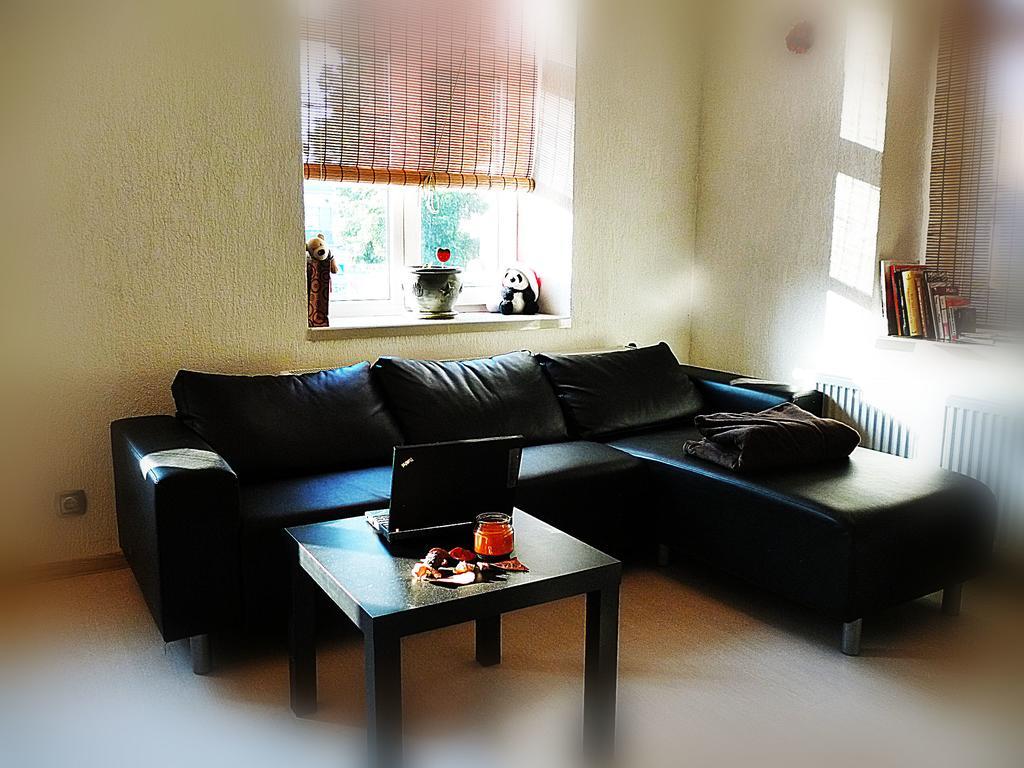 Ditton Apartment City Center Daugavpils Ruang foto